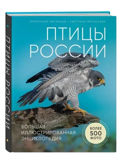 Птицы России. Большая иллюстрированная энциклопедия