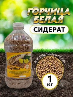 Горчица семена сидерат