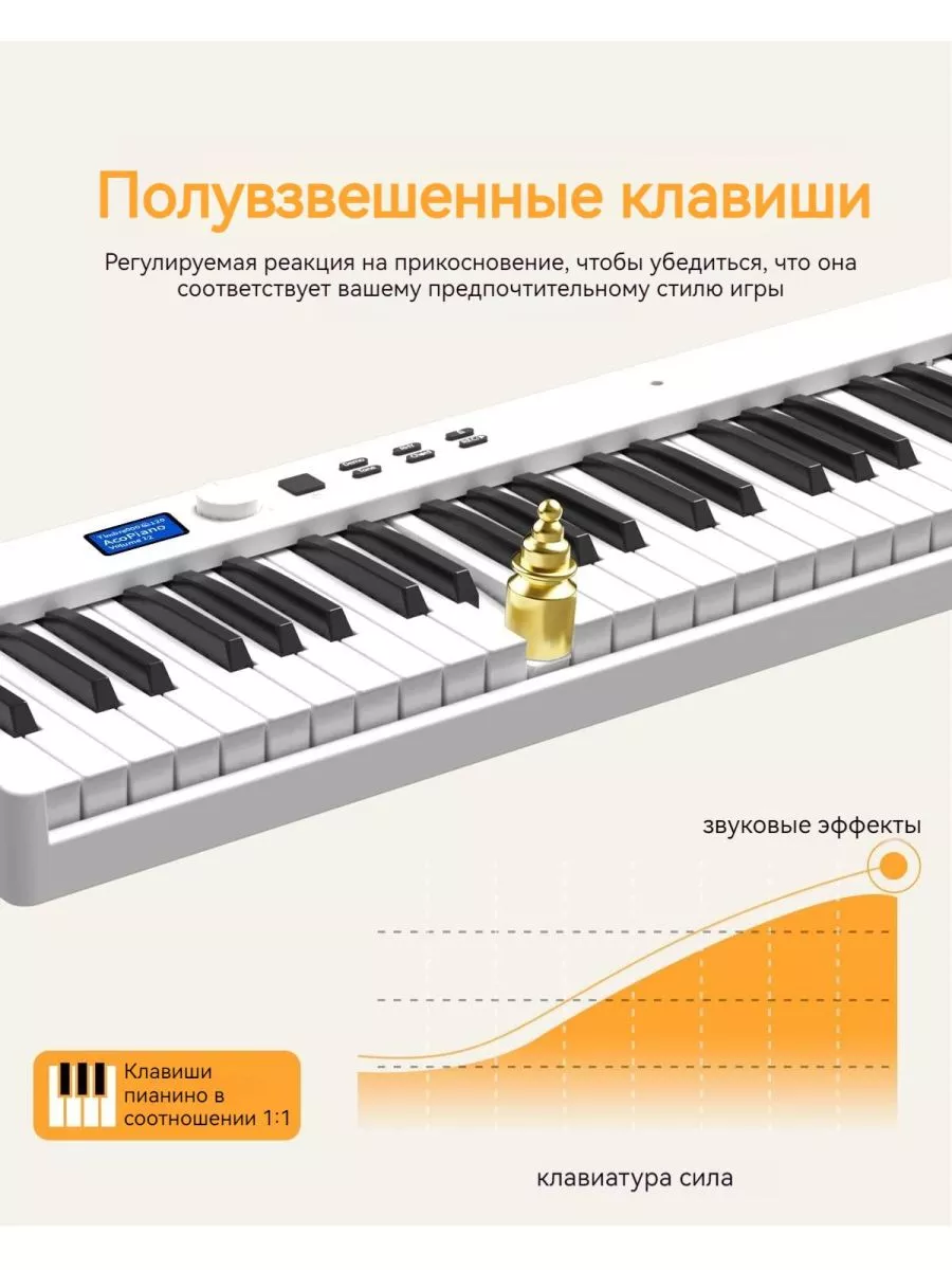 Китаец научил курицу играть на пианино за еду (видео) | Общественная жизнь