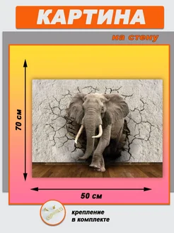 Картина Слон 50х70