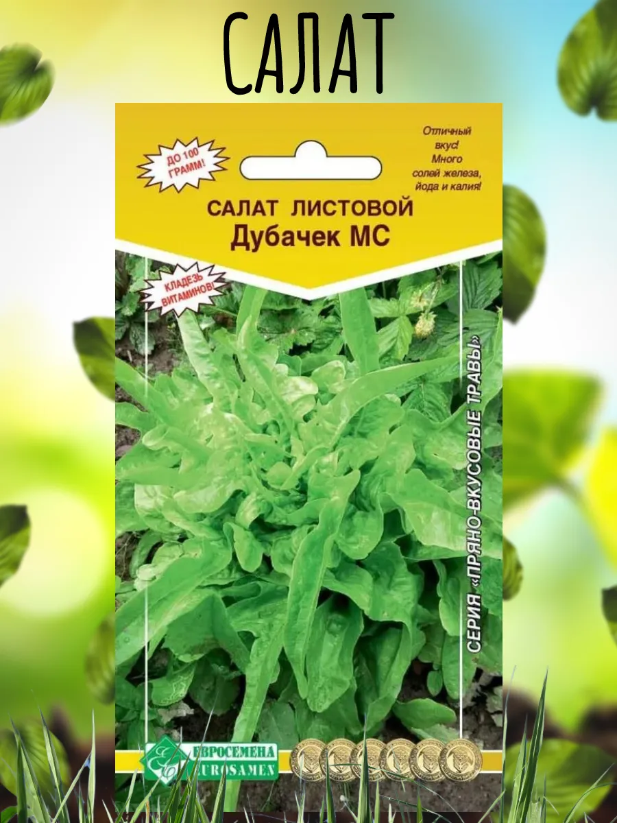 Семена Салат листовой ДУБАЧЕК МС (1 гр)