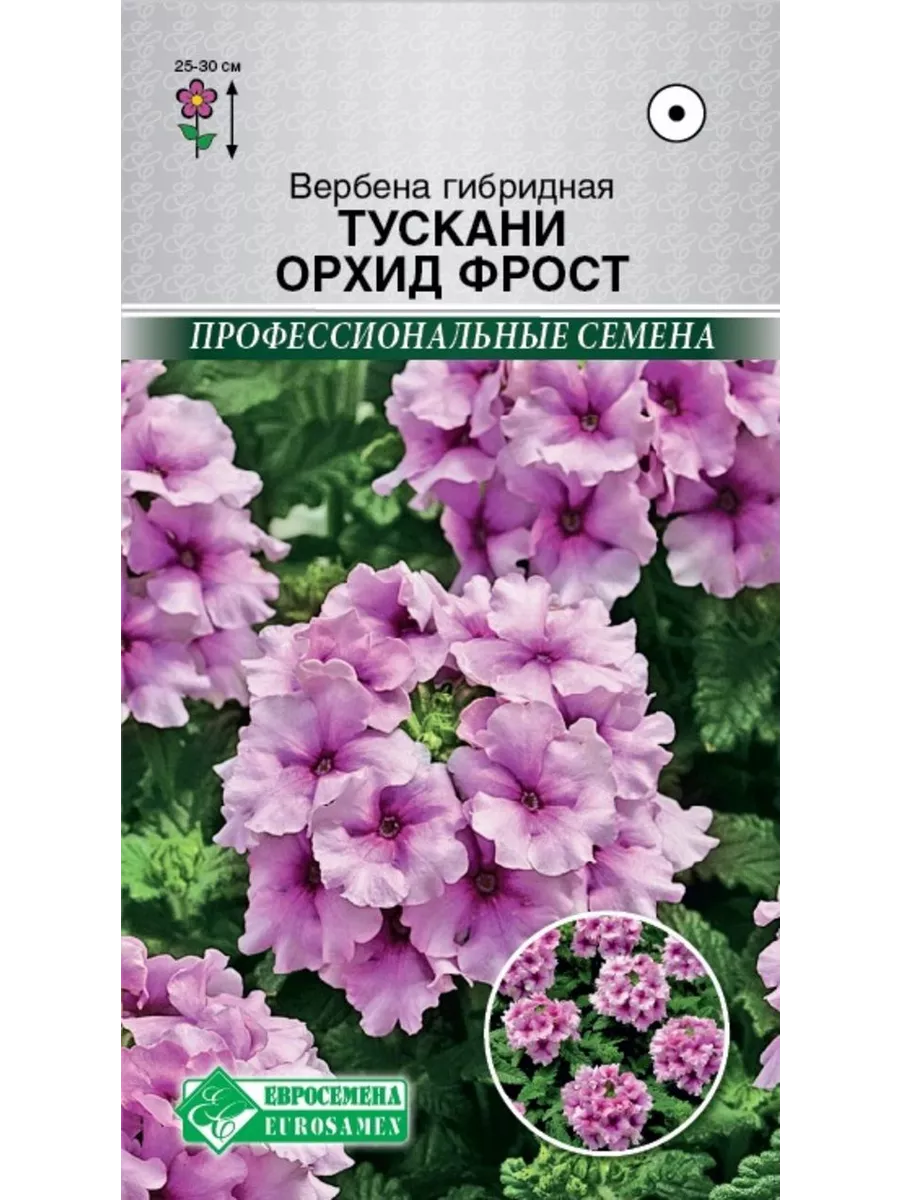 Вербена Профессиональные Семена Купить Оптом