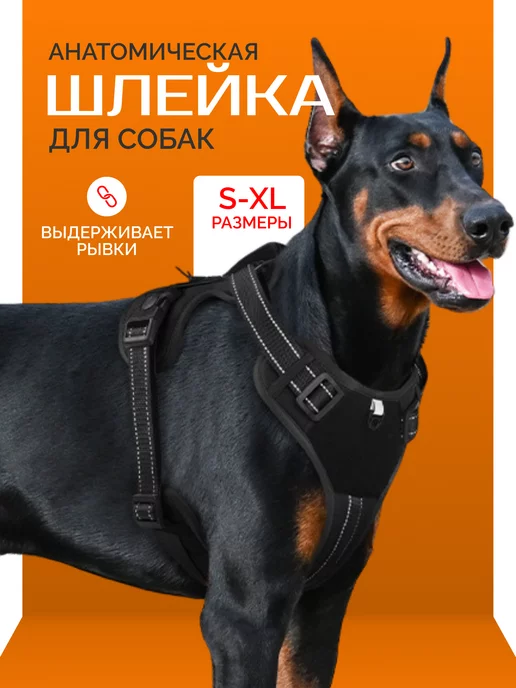 DoggyBrand Шлейка для собак мелких и крупных пород