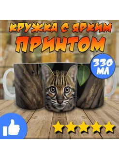 Кружка котик