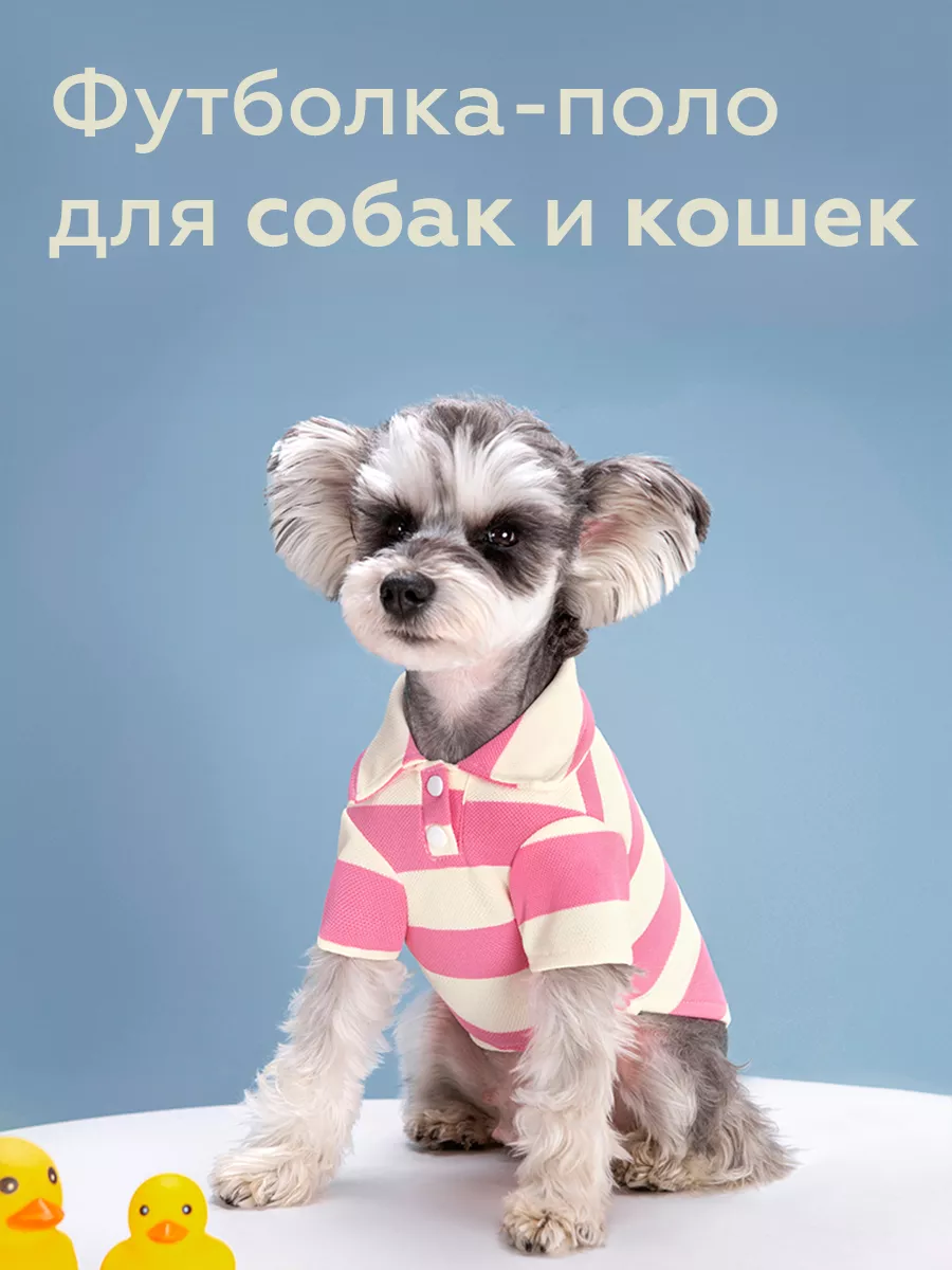 Футболка для собак и кошек. Поло T-Pets купить по цене 12,97 р. в интернет-магазине Wildberries в Беларуси | 233259139