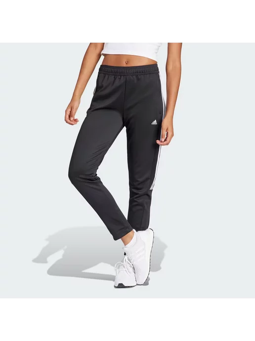 Adidas adi chino pants zara best sale