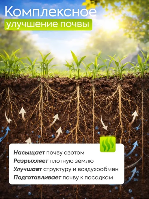 Склад Полезных Продуктов Смесь сидератов для клубники и земляники 500 гр. семена, 500 г, фото 2