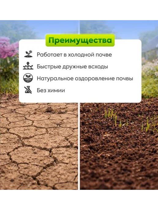 Склад Полезных Продуктов Смесь сидератов для клубники и земляники 500 гр. семена, 500 г, фото 3