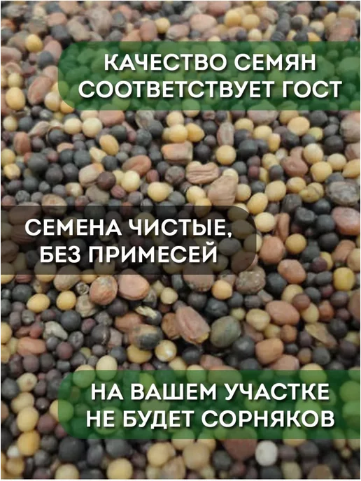 Склад Полезных Продуктов Смесь сидератов для клубники и земляники 500 гр. семена, 500 г, фото 7