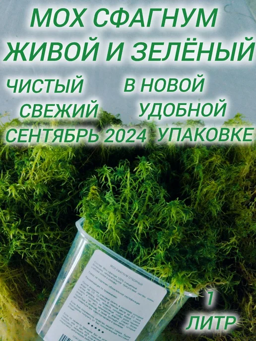 GreenMoss Мох сфагнум живой зеленый сбор 2024