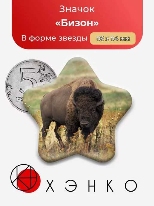 Бизон