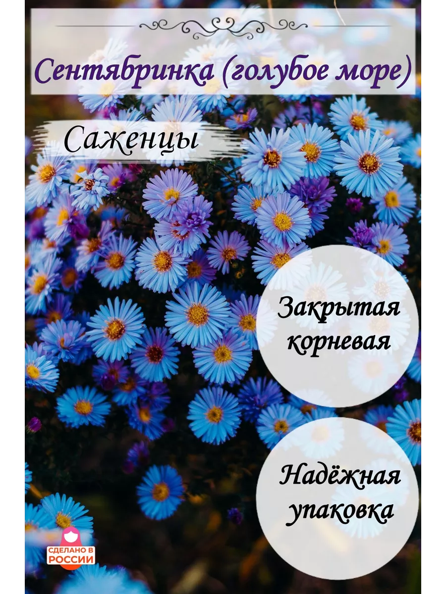 Сентябринка (голубое море)...