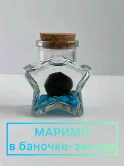 Маримо в звезде