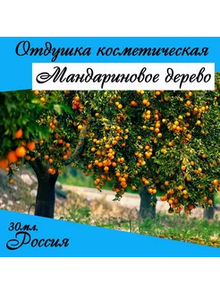 Мандариновое дерево, отдушка косметическая 30мл