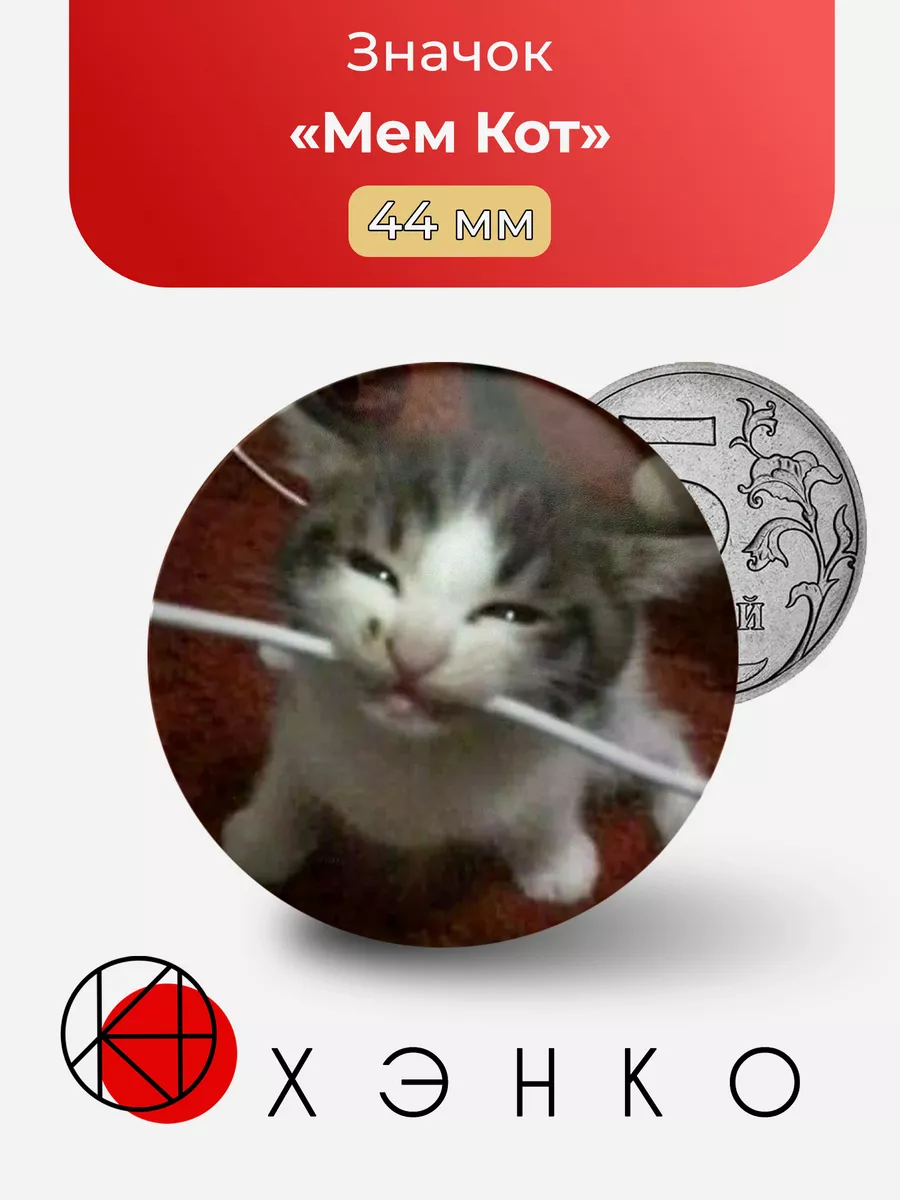 Мем Кот