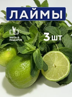 Лайм свежий 3 шт DagMan 233588706 купить за 316 ₽ в интернет-магазине Wildberries