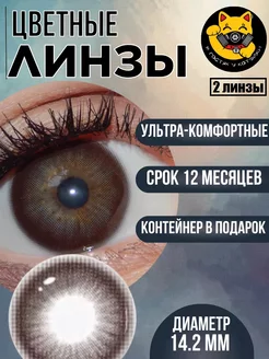 Цветные контактные линзы карие черные нулевки