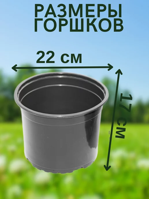Your home&garden Горшок для рассады 5 литров, черный, фото 2