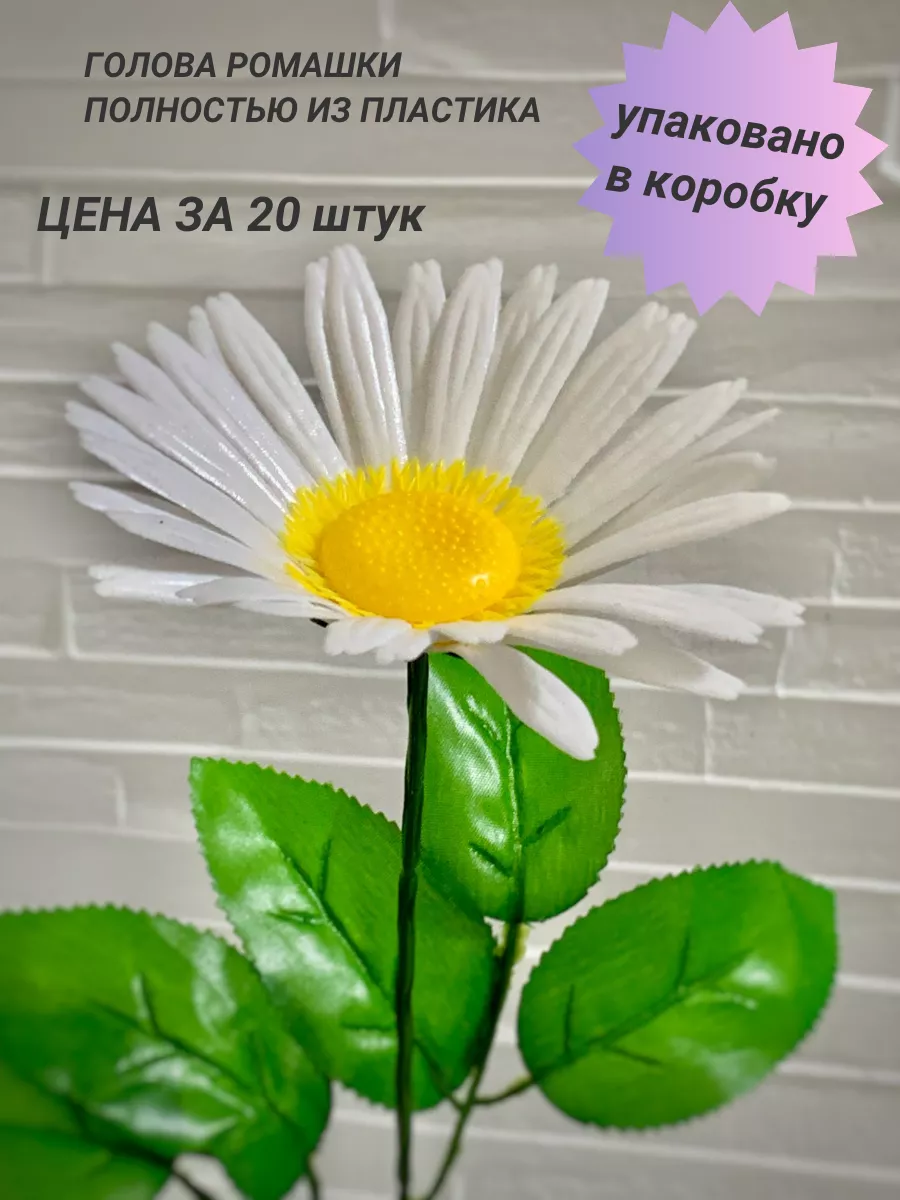 Ромашка - купить по выгодной цене | FlowerPortrait