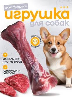 Жевательная игрушка косточка Yahodog 233694136 купить за 617 ₽ в интернет-магазине Wildberries