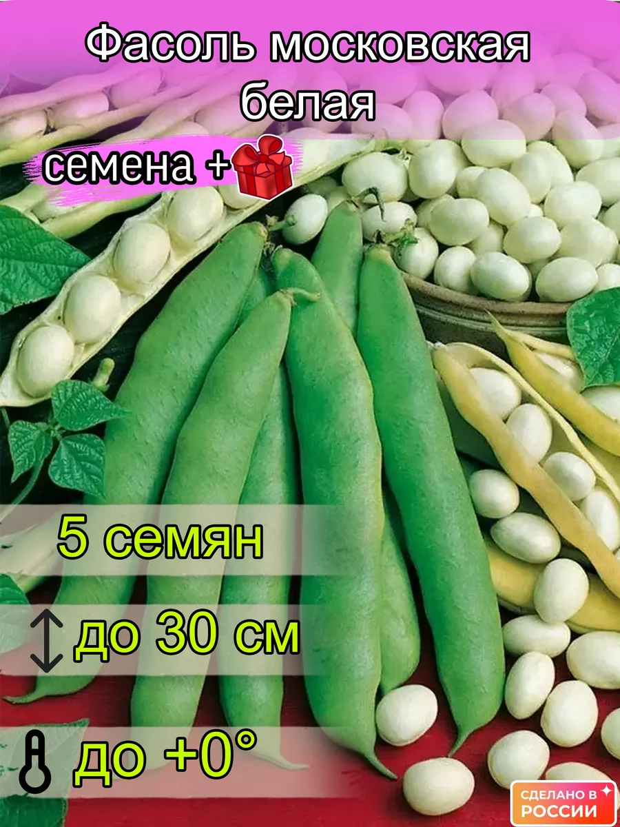 Фасоль московская белая семена