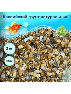 Грунт Каспийский с ракушками 2кг 2-5мм (S) галтованный