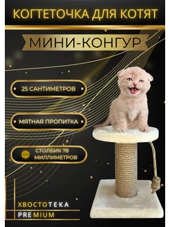 Когтеточка для котят