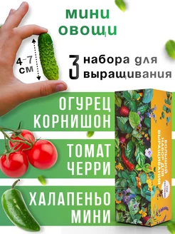 Набор для выращивания растений Помидор Томат Перец Огурец Plant Republic 233773706 купить за 660 ₽ в интернет-магазине Wildberries