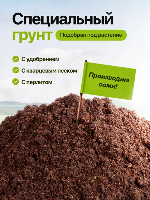 Про Растения Набор для выращивания растений Помидор Томат Перец Огурец, 3 шт, фото 4