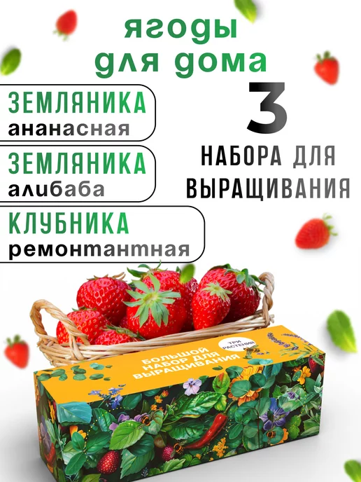 Plant Republic Набор для выращивания растений Ягоды Земляника Клубника