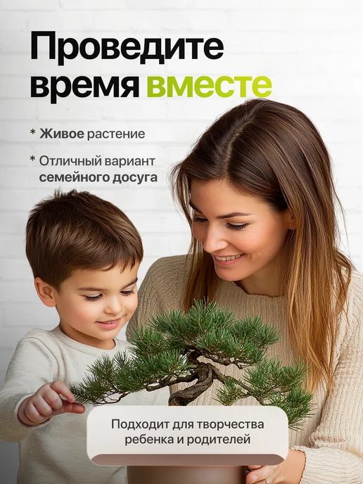 Про Растения Набор для выращивания растений Земляника, в упаковке 720 г, фото 7