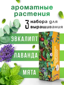 Набор для выращивания растений Эвкалипт Мята Лаванда семена Plant Republic 233773709 купить за 696 ₽ в интернет-магазине Wildberries