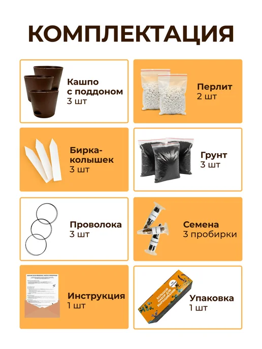 Про Растения Набор для выращивания растений Бонсай Сосна Сакура Жакаранда, 3 шт, фото 2