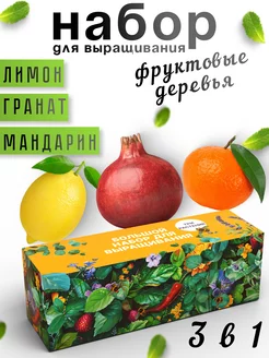 Набор для выращивания растений Гранат Лимон Мандарин Plant Republic 233773719 купить за 813 ₽ в интернет-магазине Wildberries