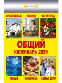 Календарь отрывной "Общий" на 2025 год Атберг 98 233821864 купить за 145 ₽ в интернет-магазине Wildberries