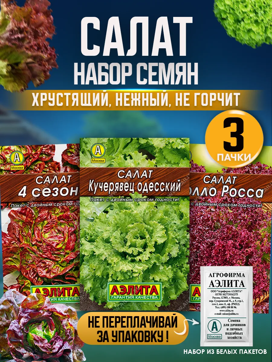 Семена салата листового