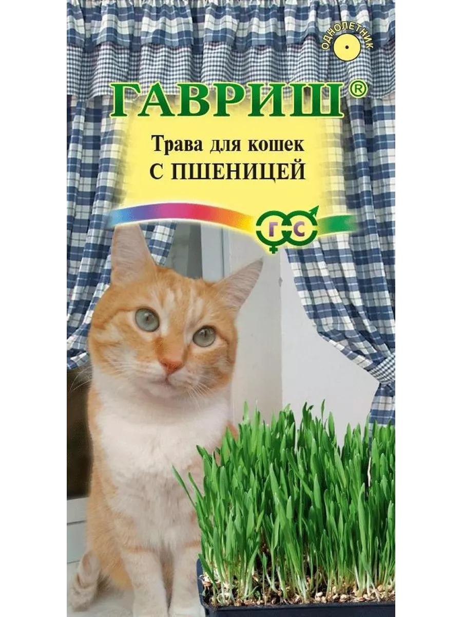 Семена Трава для кошек с пшеницей 1 шт