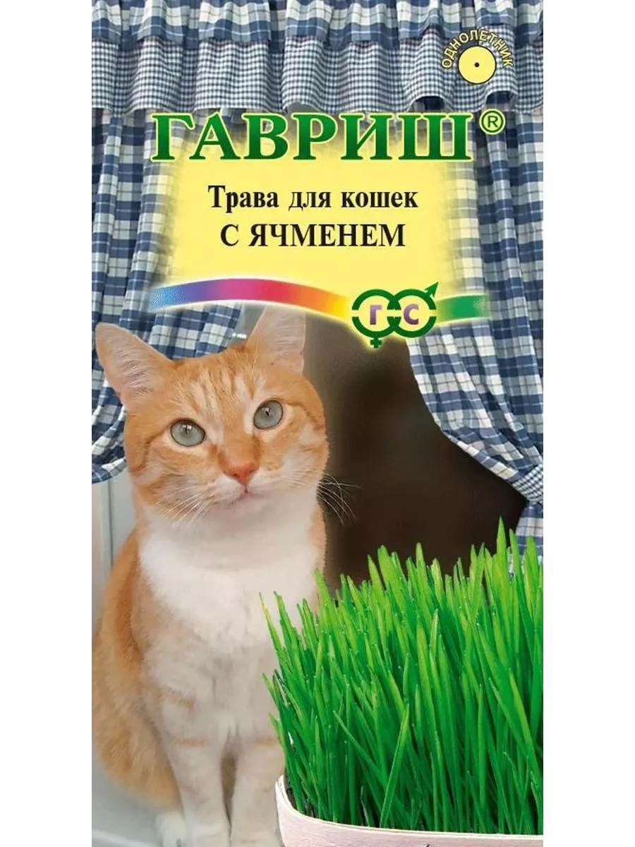 Семена Трава для кошек с ячменем 1 шт