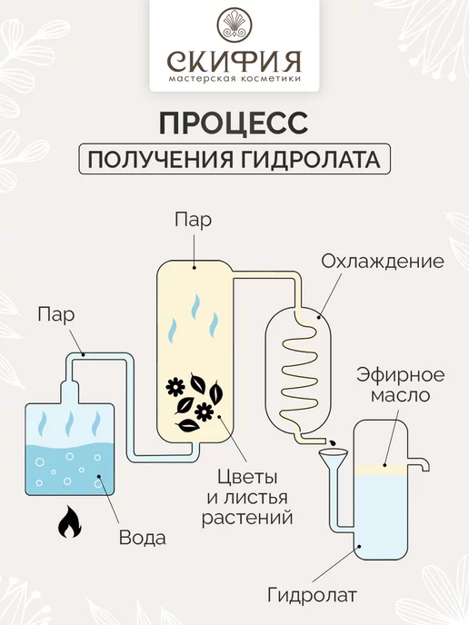 Скифия Гидролат облепихи спрей для лица и тела, вариант, фото 4
