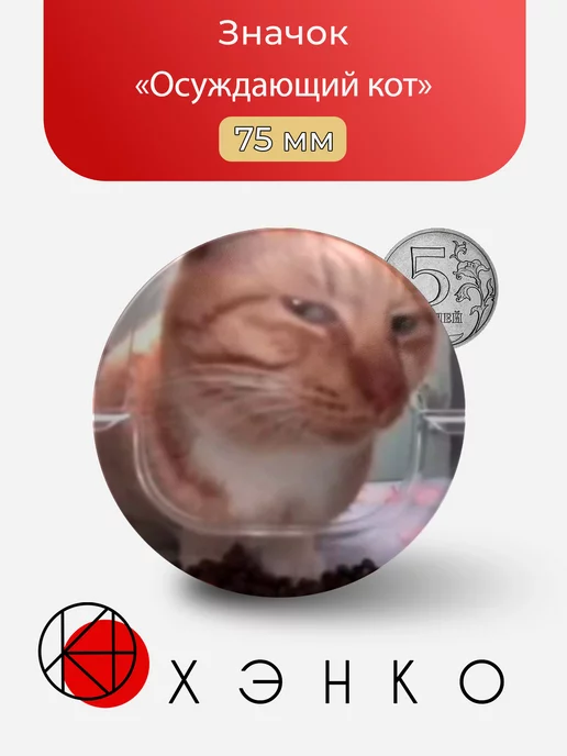 Осуждающий Кот мем