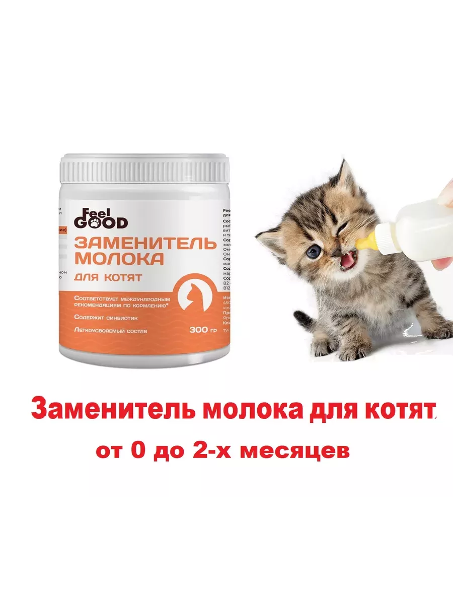 Как сделать смесь для новорожденного котенка? Форум Страница 1