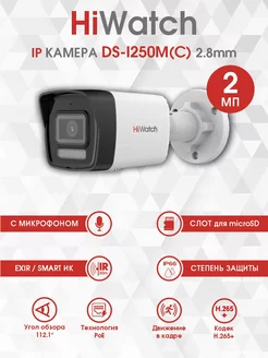 Уличная IP Камера с микрофоном DS-I250M (С) (2.8 mm) 2 Мп