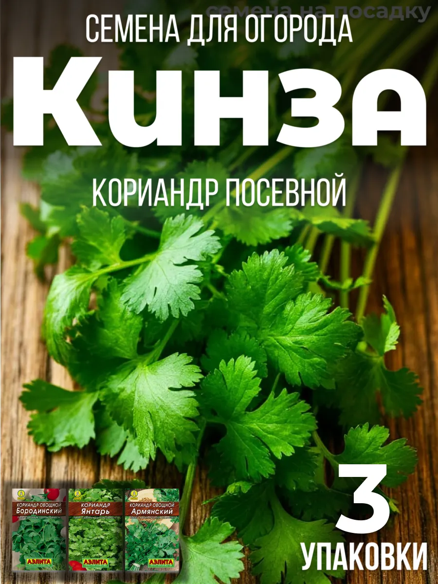 Кинза семена (кориандр) 3 упаковки