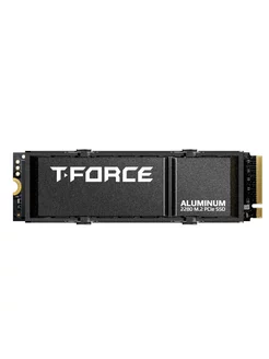 Накопитель SSD M.2 T-FORCE G70 PRO 1TB с радиатором TEAMGROUP 234040972 купить за 7 716 ₽ в интернет-магазине Wildberries