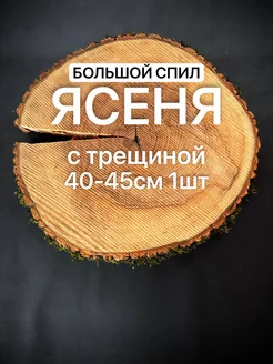 Спил Ясеня с трещиной 40-45см 1шт