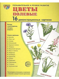 Цветы полевые. 16 дем. картинок. 17.4х22 см