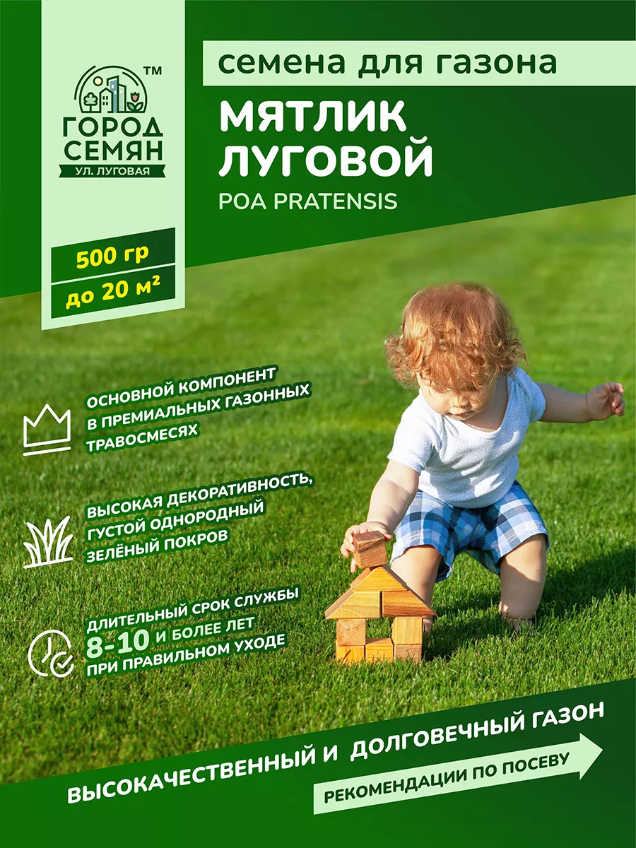 Газонная трава мятлик луговой 500 гр