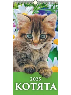 Календарь настенный малый на 2025 165х335 мм "Котята"