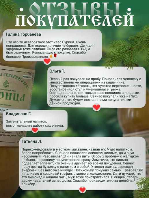 Агро Северъ Хвойный квас живого брожения "Сурица", концентрат, вариант, фото 8