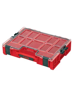 Органайзер PRO Organizer 300 Red Ultra HD QBRICK SYSTEM 234266401 купить за 3 662 ₽ в интернет-магазине Wildberries